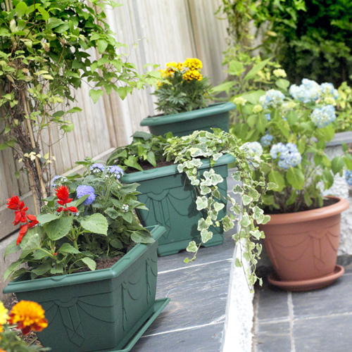 Seed Trays, Pots & Planters